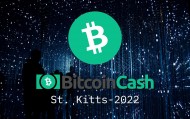 BCH-比特现金交易所(比特现金bsv能涨到多少)