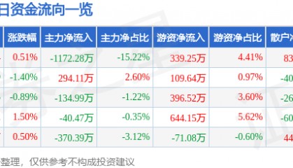 股票行情快报：泰和新材（002254）12月5日主力资金净卖出1172.28万元