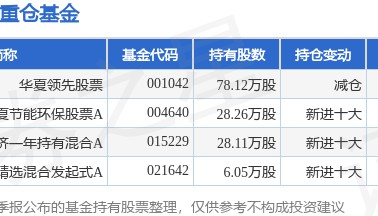 7月7日海优新材涨5.99%，华夏领先股票基金重仓该股