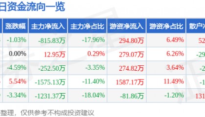 股票行情快报：国创高新（002377）2月20日主力资金净卖出815.83万元