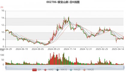 银宝山新：2024年亏损2.72亿元