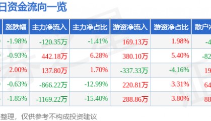 股票行情快报：泰和新材（002254）12月31日主力资金净卖出120.35万元
