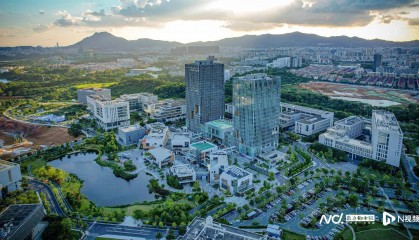 东莞这个社区不简单，五年来激活多个镇街科技产业