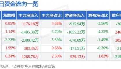 股票行情快报:尔康制药(300267)12月12日主力资金净买入1176.18万元