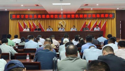 “铁牛”上阵薯田生金 科技妙笔绘就中原甘薯振兴图