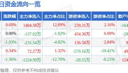 股票行情快报:国创高新(002377)3月21日主力资金净买入1404.38万元