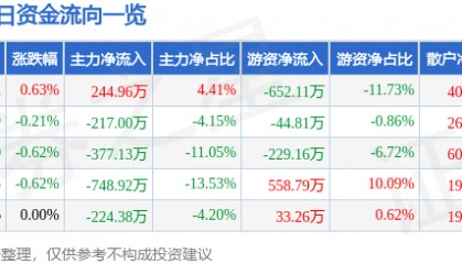 股票行情快报：齐翔腾达（002408）1月24日主力资金净买入244.96万元