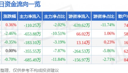 股票行情快报:国创高新(002377)3月3日主力资金净卖出110.25万元