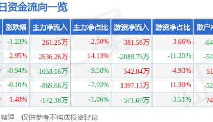 股票行情快报:涪陵电力(600452)2月13日主力资金净买入261.25万元