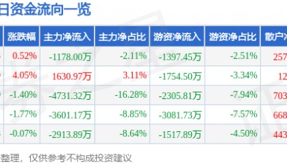 股票行情快报:九洲药业(603456)6月10日主力资金净卖出1178.00万元