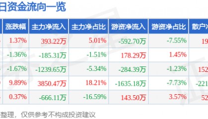 股票行情快报：国创高新（002377）3月14日主力资金净买入393.22万元
