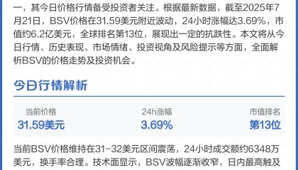 BSV-比特币(bsv能转到btc的公链吗吗)