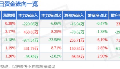 股票行情快报:国创高新(002377)4月23日主力资金净卖出220.08万元