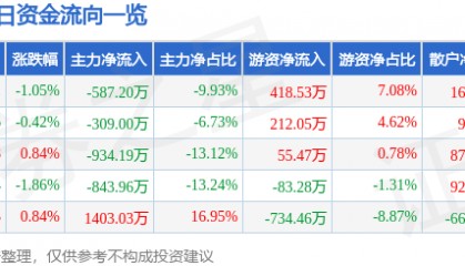 股票行情快报：齐翔腾达（002408）3月5日主力资金净卖出587.20万元