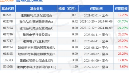 建信潜力新蓝筹股票A基金经理变动:增聘江映德为基金经理