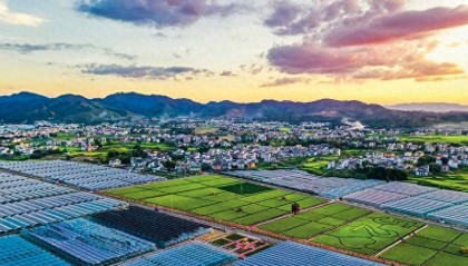 瞭望｜江西特色产业全链做强