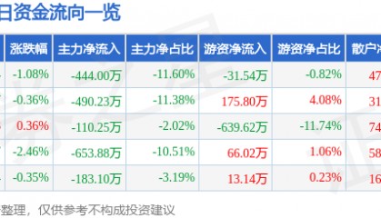 股票行情快报:国创高新(002377)3月5日主力资金净卖出444.00万元