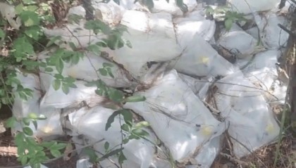 触目惊心！江西树林惊现大量未过期药品 官方连夜成立专案组彻查