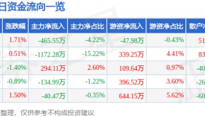 股票行情快报：泰和新材（002254）12月6日主力资金净卖出465.55万元