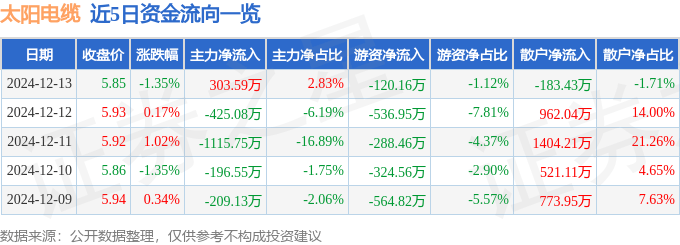 股票行情快报：太阳电缆（002300）12月13日主力资金净买入303.59万元