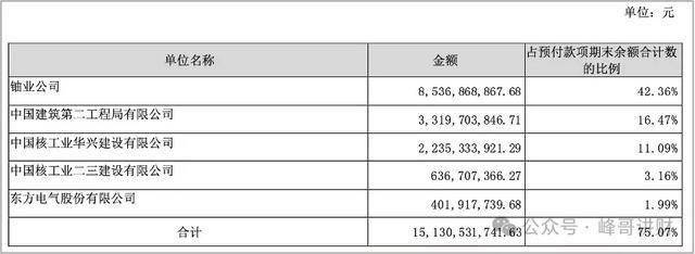 中国广核财报解读