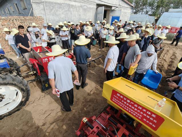“铁牛”上阵薯田生金 科技妙笔绘就中原甘薯振兴图