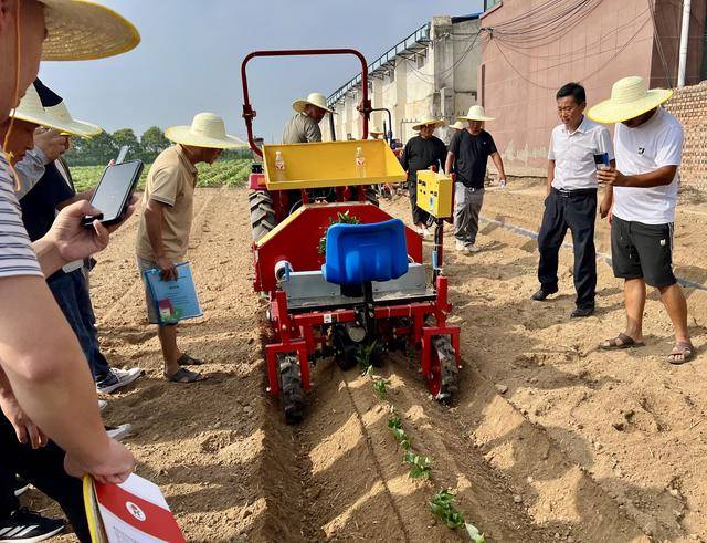 甘薯高效栽培技术培训暨机械演示现场观摩会在商丘召开