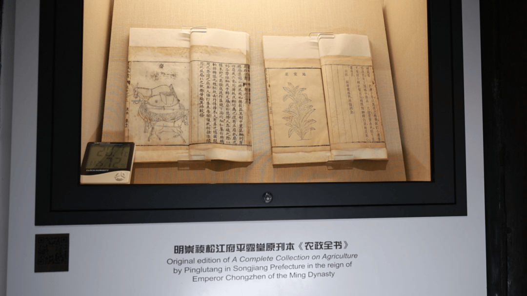 家国万里·时光故事会｜从徐光启到徐家汇，一颗甘薯里的家国