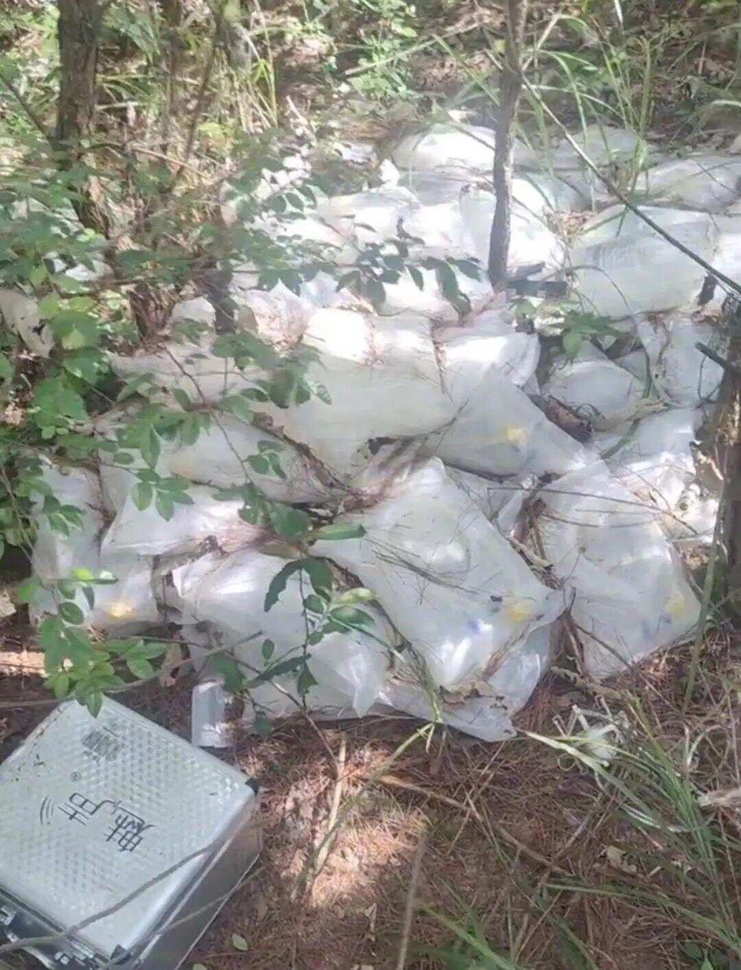 江西一树林发现大量被丢弃药品 官方通报