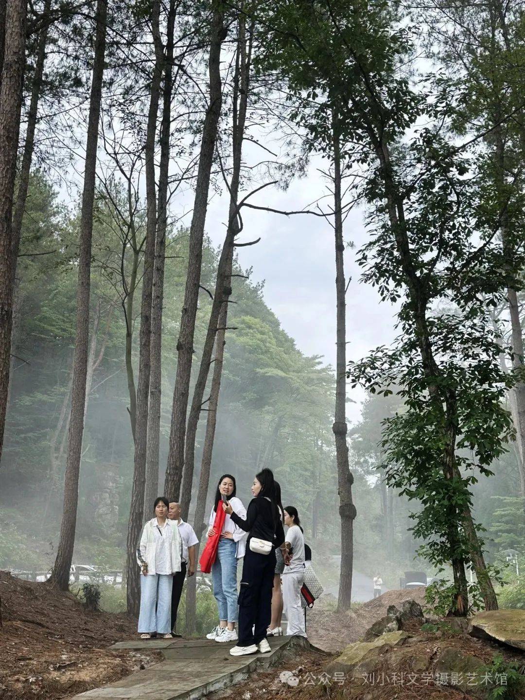 蜀道夏生凉（2） | 三溪口的林间清凉梦
