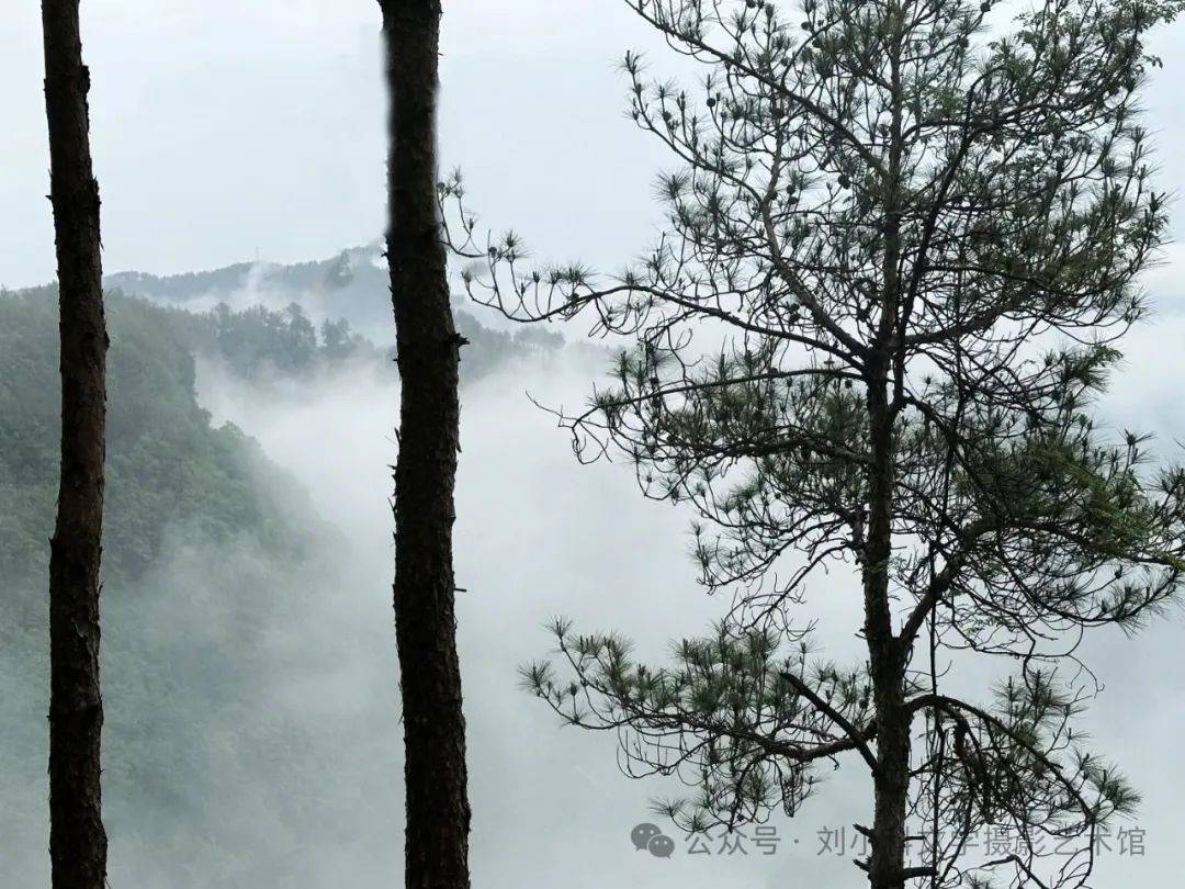 蜀道夏生凉（2） | 三溪口的林间清凉梦
