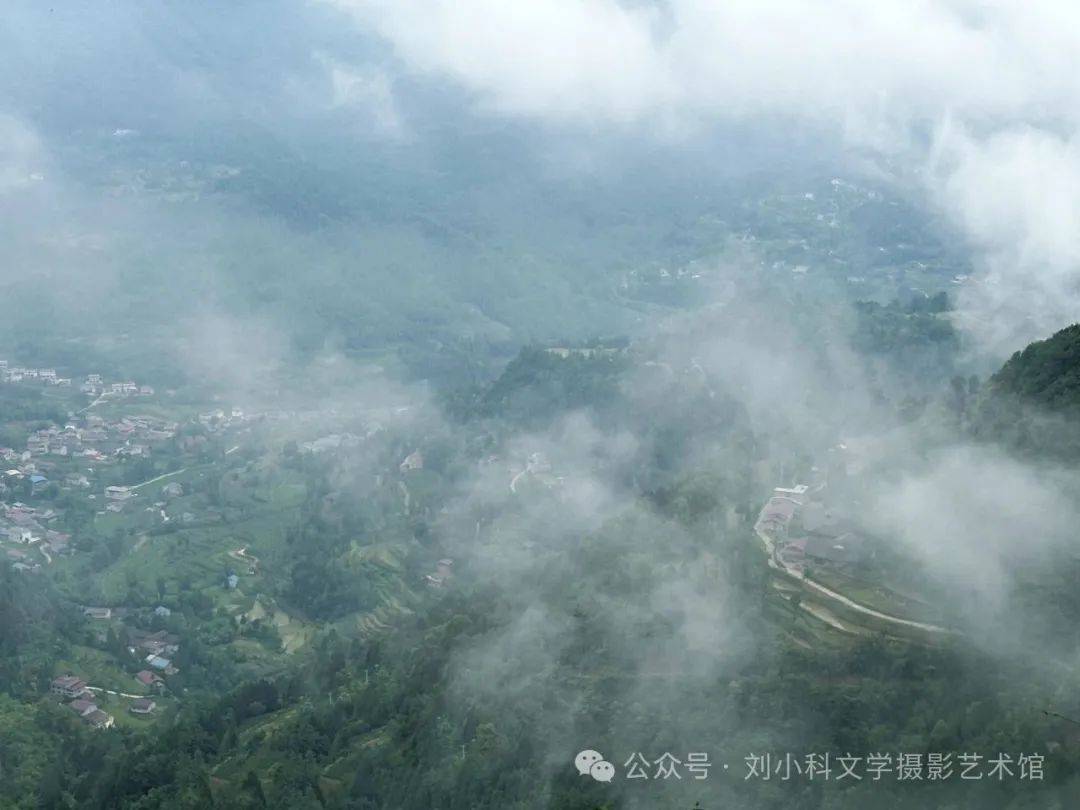 蜀道夏生凉（2） | 三溪口的林间清凉梦