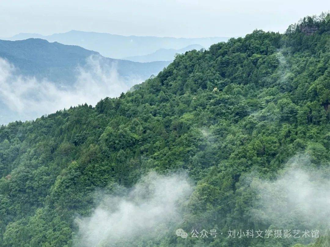 蜀道夏生凉（2） | 三溪口的林间清凉梦