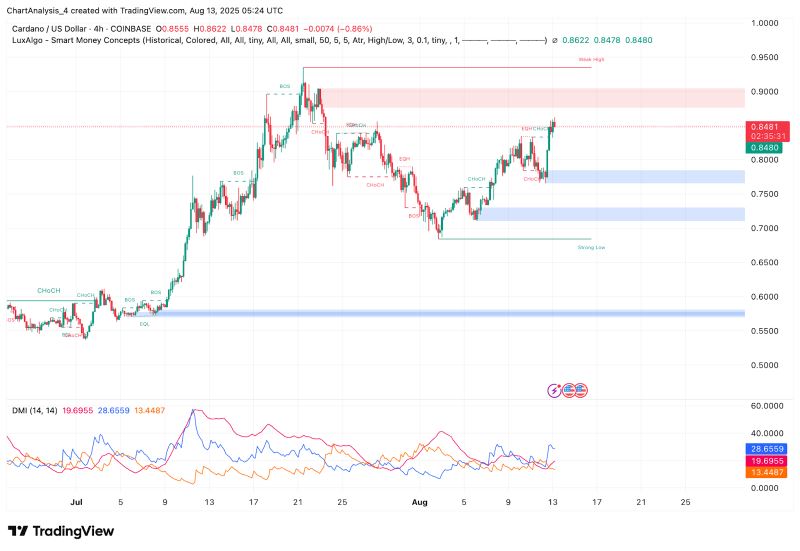 艾达币交易所(艾达币交易所交易量激增)